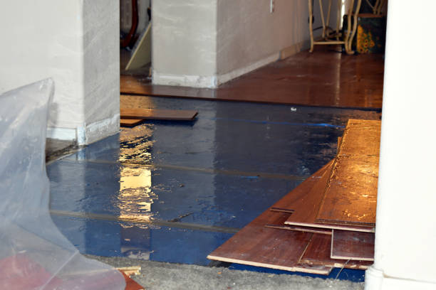 Professional Basement Water Removal technician working in East Dixfield, ME